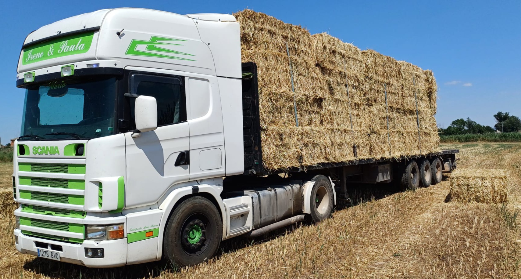 CloudGestión, el programa de facturación fácil para la pequeña empresa y el autónomo. Por Código con Sentido